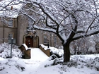 Zima, Dom, Drzewo, Śnieg