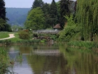 Park, Staw, Mostek, Wierzba