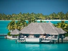 St.Regis, Hotel, Palmy, Ocean, Bora Bora