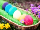 Wielkanoc, Kolorowe, Jajka, Koszyczek, Kwiaty