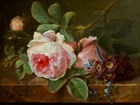 Obraz, Cornelis, Van Spaendock