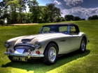 Austin, Healey 3000, Brytyjski, Zabytkowy, Samochód, Sportowy