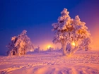 Zima, Drzewa, Śnieg, Wschód słońca