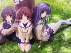 Clannad, Nagisa Furukawa, Ryou Fujibayashi, Kyou Fujibayashi