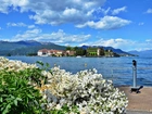 Jezioro, Maggiore, Obłoki, Panorama, Miasteczka, Azalie