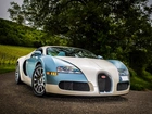 Bugatti Veyron, Droga, Drzewa