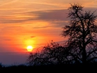 Zachód słońca, Drzewo, Pole