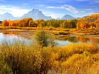 Jesień, Rzeka, Rozlewisko, Roślinność, Góry