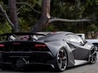 Czarne, Lamborghini, Sesto Elemento, Ulica, Drzewo