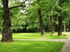 Park, Przy Pałacu, Natolin, Dęby