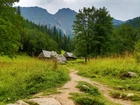 Tatry, Zakopane, Góry, Ścieżka, Polska