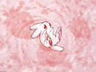 D N Angel, królik, truskawka
