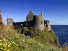 Zamek, Dunluce, Ruiny, Morze, Łąka, Irlandia, Północna