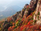 Jesień, Góry, Kolorowe, Krzewy