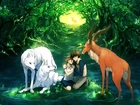 Mononoke Hime, Manga, Anime