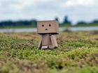 Łąka, Danbo, Rozmycie