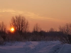 Zima, Śnieg, Wschód Słońca, Drzewa