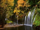 Las, Wodospad, Mossbrae Falls Kalifornia