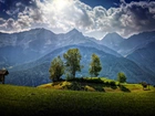 Góry, Las, Chmury,  Łąka, Przebijające, Światło, Austria, HDR