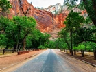 Park Narodowy Zion, Utah, USA, Droga, Góry, Drzewa