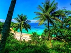 Morze, Plaża, Palmy, Tajlandia