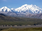 Stany Zjednoczone, Stan Alaska, Park Narodowy Denali, Kordyliery, Niedźwiedzie, Góry Alaska, Szczyt Denali, Mount McKinley
