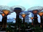 Ogród, Hotel, Marina Bay Sands, Singapur