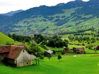 Domy, Góry, Lasy, Szwajcaria
