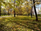 Park, Moskwa, Rosja, Jesień