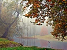 Jesień, Park, Rzeka, Kaczki, Mgła