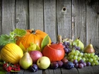 Kompozycja, Dynie, Warzywa i owoce