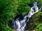 Wodospad Torc, Park,  Narodowy,  Killarney, Kerry, Irlandia