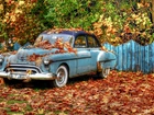 Samochód, Zabytkowy, Oldsmobile, Jesień, Liście, Ogrodzenie, Drzewa