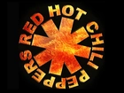 Red Hot Chili Peppers,znaczek zespołu