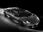 Lamborghini, Reventon, Roadster