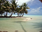 Morze, Laguna, Palmy, Kiribati