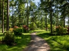 Anglia, Westonbirt Arboretum, Park, Ścieżka