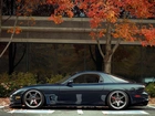 Mazda, RX-7, Parking, Drzewa