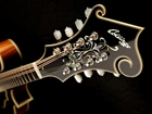 Gitara