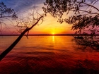 Jezioro, Zachód słońca, Gałęzie