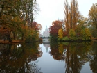 Park, Rzeka, Jesień