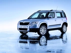 Srebrna, Skoda, Yeti