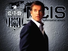 Mężczyzna, Aktor, Michael, Weatherly, Serial, Agenci Ncis