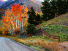 Droga, Drzewa, Góry, Jesień