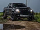 Ford, Ford F150