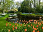 Park, Keukenhof, Staw, Tulipany