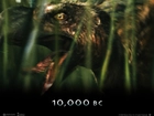 10000 Bc, ptak, język