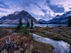 Park, Narodowy, Banff, Góry, Jezioro, Drzewa, Kanada