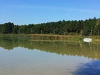 Jezioro, Las, Odbicie, Żaglówka, Lato