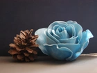 Szyszka, Kwiat, Niebieski